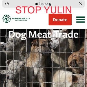 🤬STOP YULIN🤬